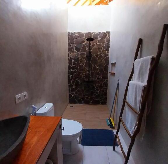 豪华工作室, Twiny S