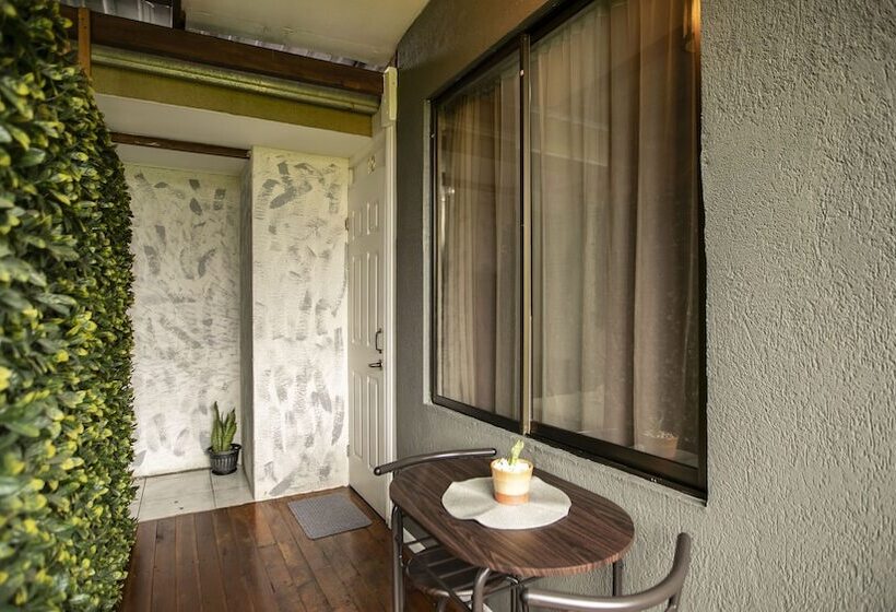 带双人床的基本房间, Coati Arenal Lodge