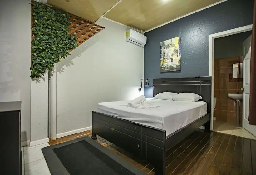 Basic-huone Parivuode, Coati Arenal Lodge