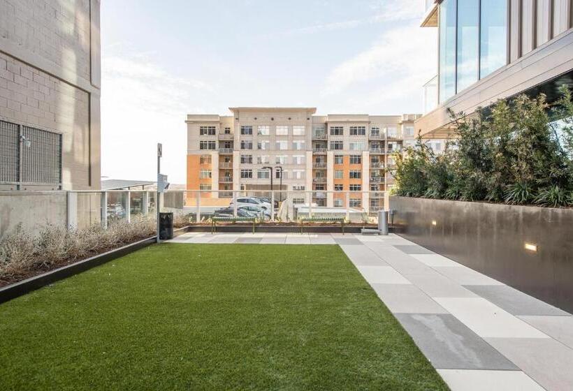 1 Bedroom Apartment Lake View, Upscale Rainey St Condo Homes Peloton, Gym, Rooftop Pool, Wifi Included