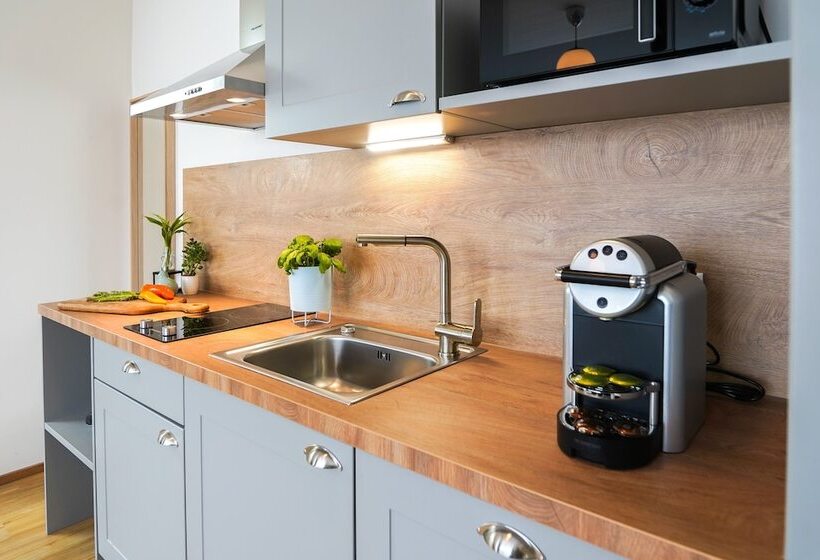 آپارتمان 1 خوابه, Citadines South Vienna