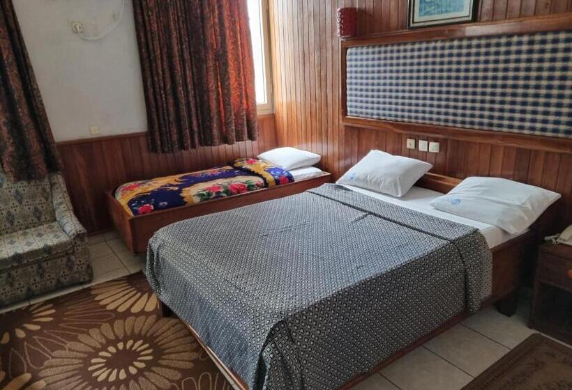 חדר משפחתי, Saffana