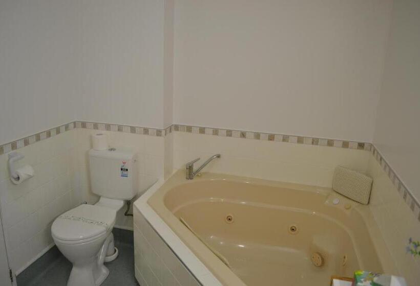 Апартаменты 1 Спальня, Colonial Lodge Motel