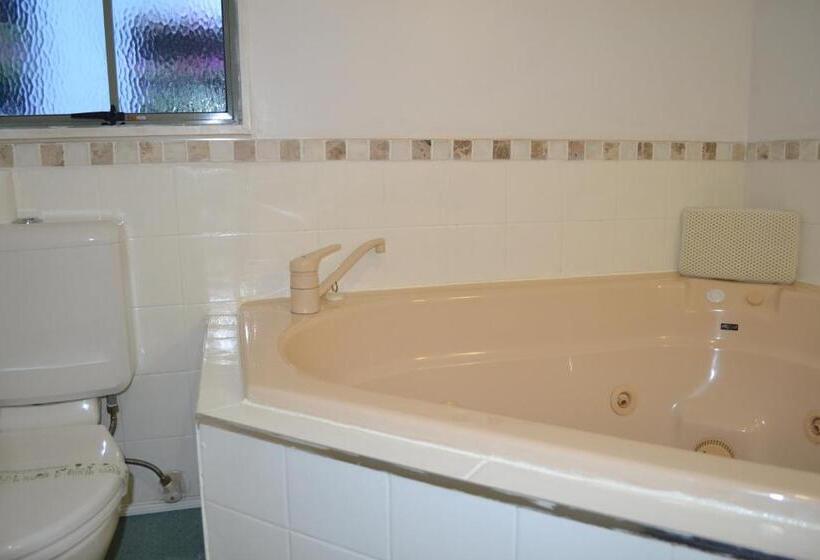 Номер Economy, Colonial Lodge Motel