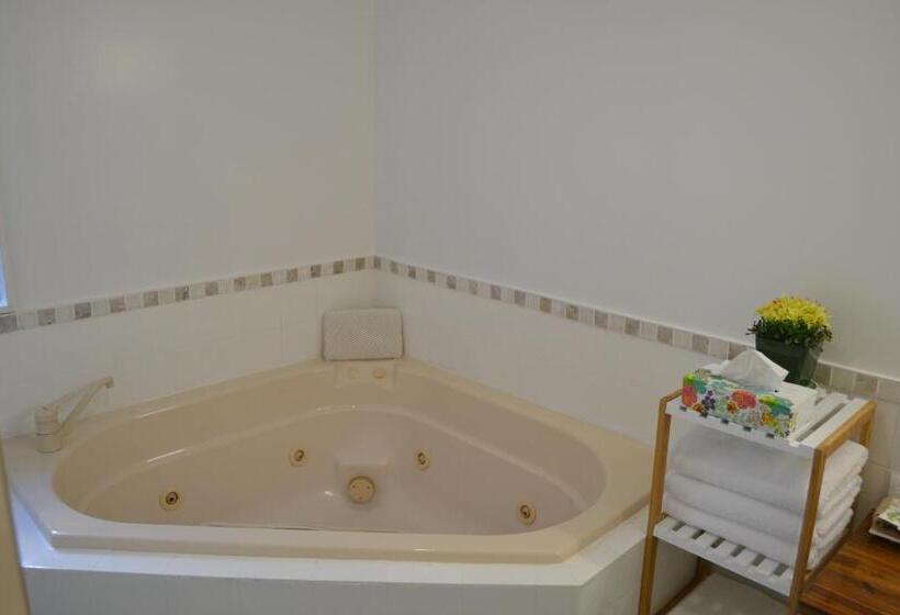 Номер Стандарт с Гидромассажем, Colonial Lodge Motel