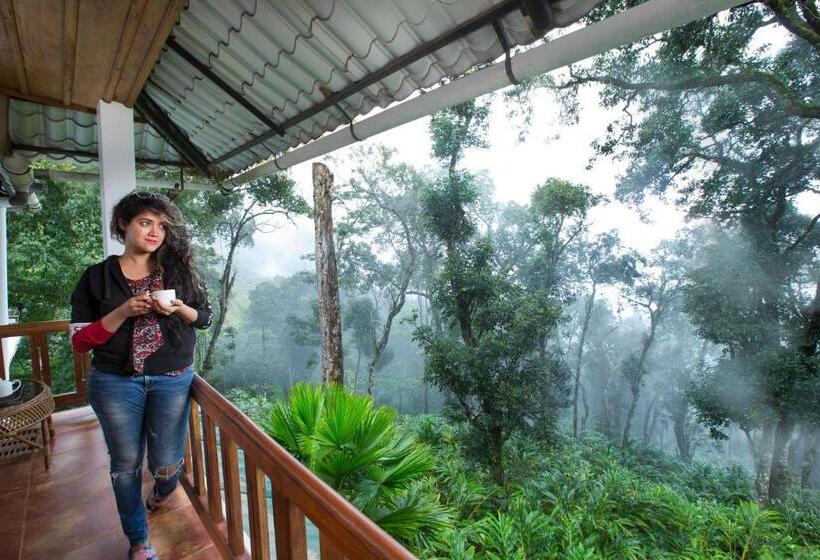 Suite z Balkonem, Bracknellforest