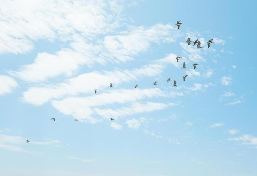 إستوديو قياسى, The Marbella