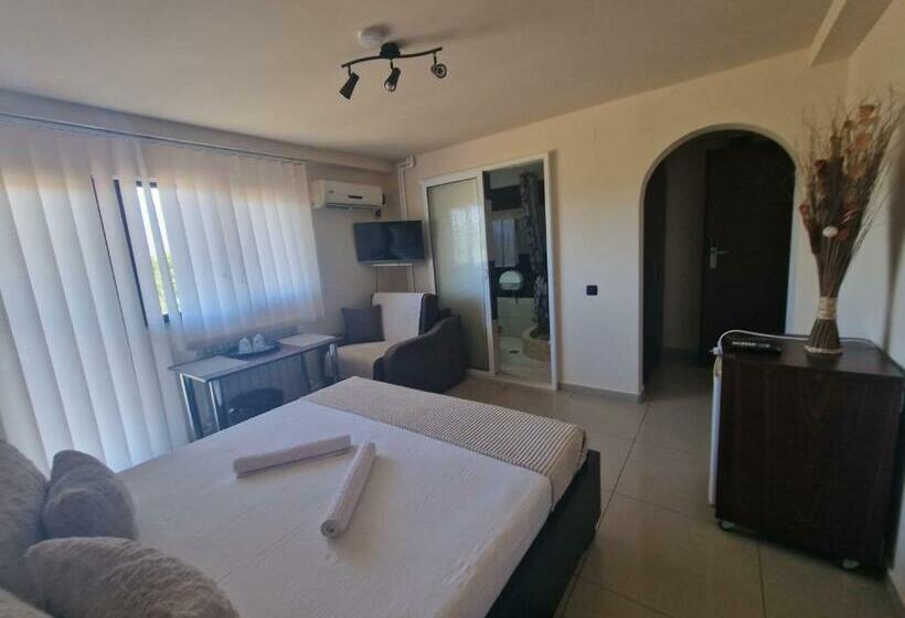 اتاق استاندارد, Casa Andu