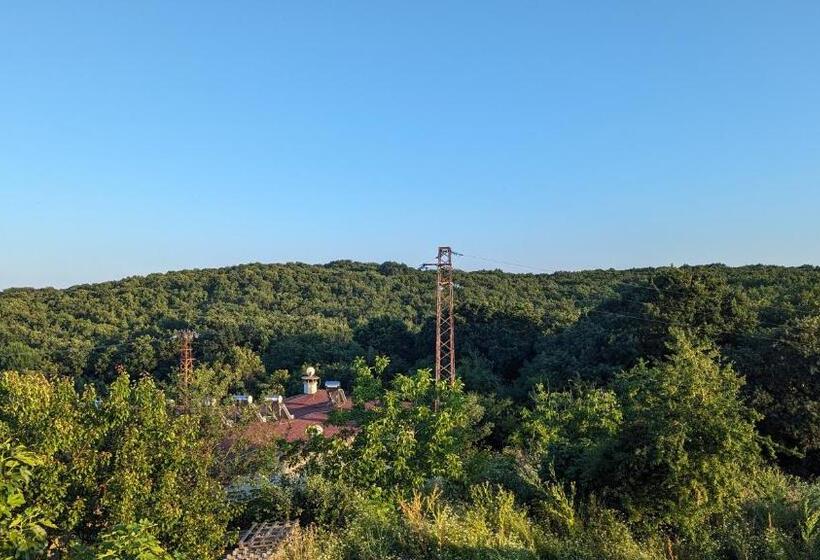 Апартаменты 1 Спальня, Guest House Chalakov