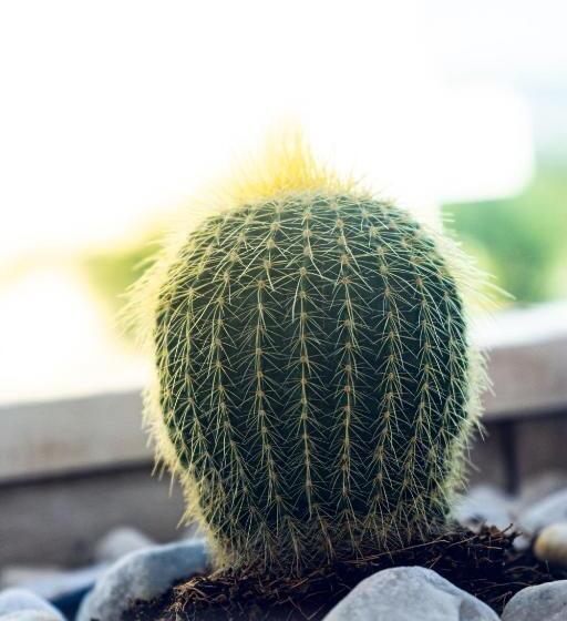 Номер Стандарт Вид на Море с Балконом, La Riviera