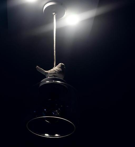 Номер Стандарт Вид на Море с Балконом, La Riviera