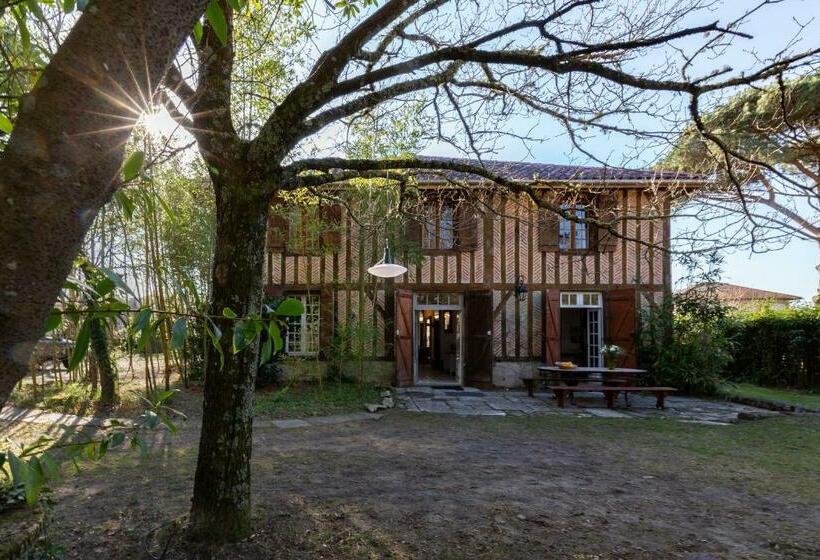 اتاق استاندارد با سرویس بهداشتی مشترک, Le Grand Yote