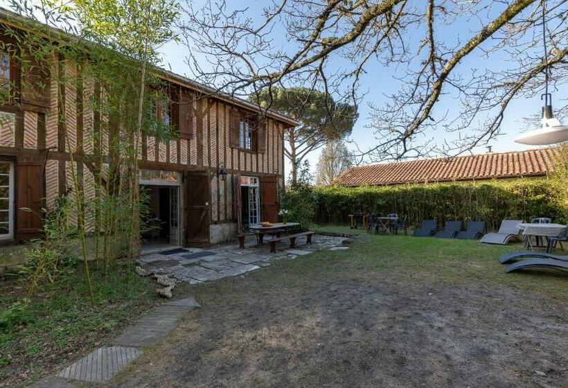 اتاق استاندارد با سرویس بهداشتی مشترک, Le Grand Yote