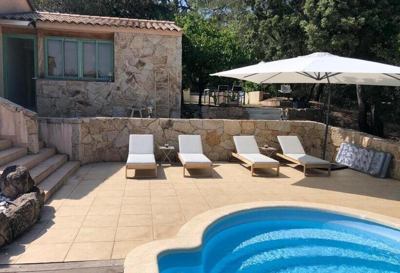 プールビュースタンダードステューディオ, Maison Ferruccio