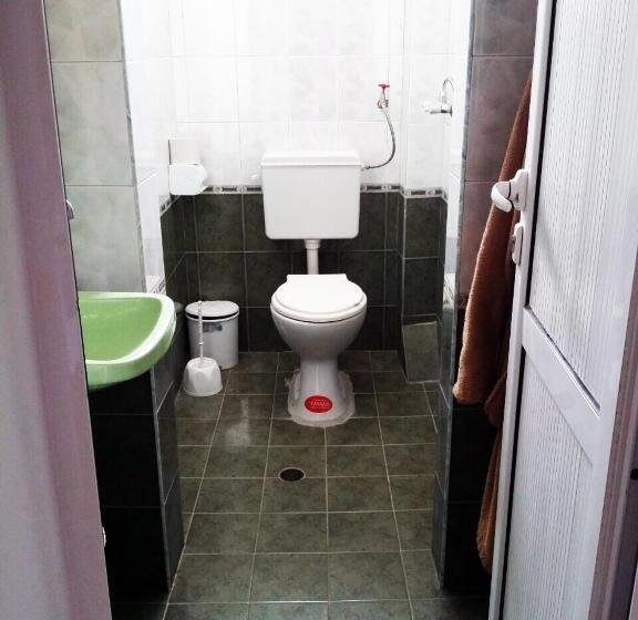 Номер Стандарт, Yavor