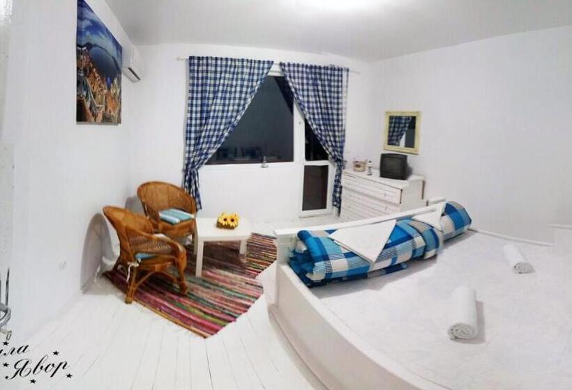 Номер Стандарт, Yavor