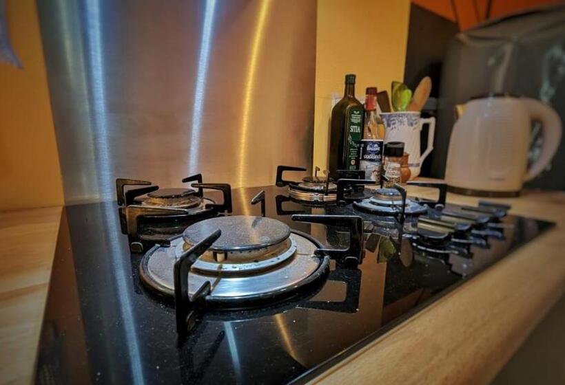 스탠다드 스튜디오 정원 전망, Chambre Condamine Spa