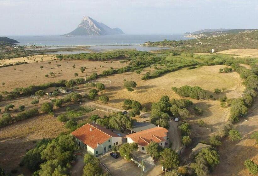 חדר סטנדרט, B&b La Taerra