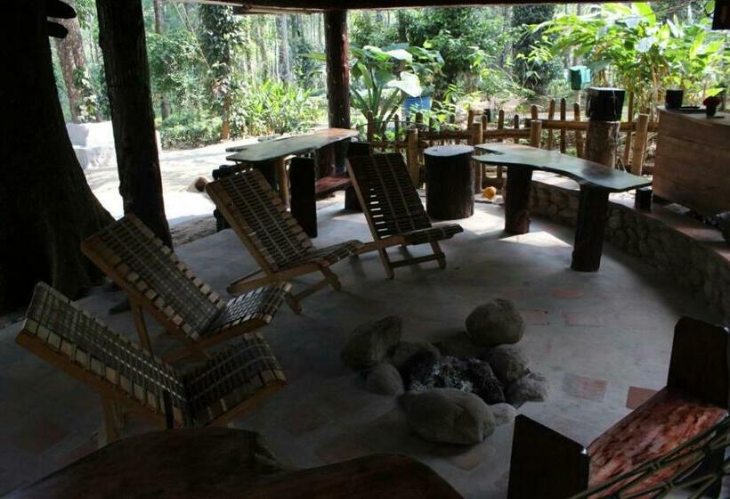 خانه 1 خوابه, Jungle Jive Tree House