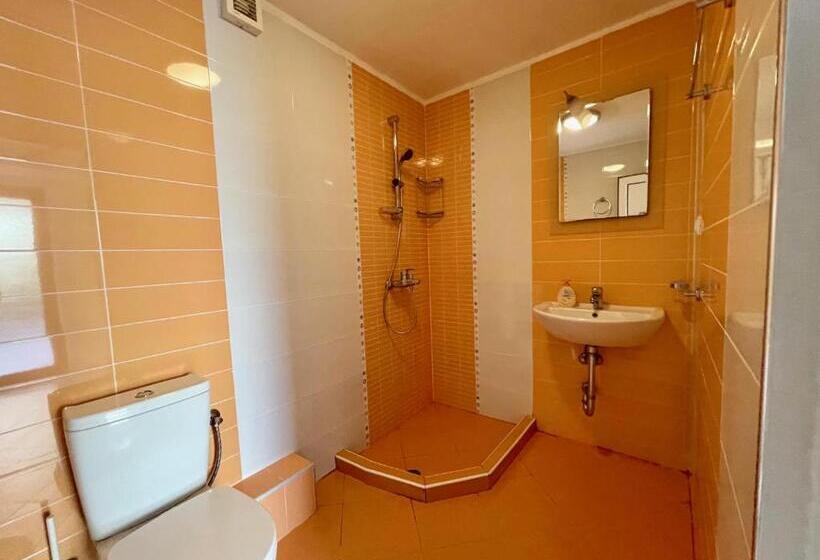 Студия Стандарт, Guest House Daris