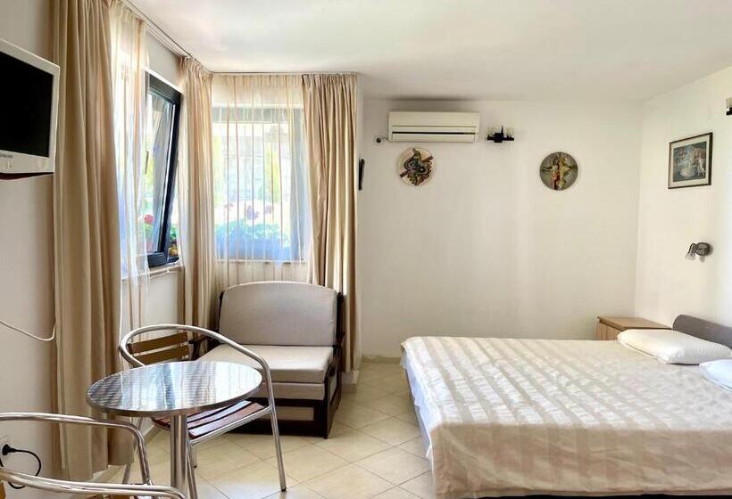 Студия Стандарт, Guest House Daris