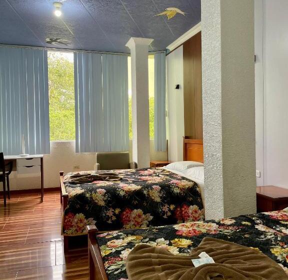 스탠다드 룸 더블 침대 2개, Hostal R. Williams