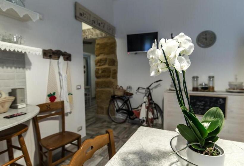 スタンダードルーム, Zabbara