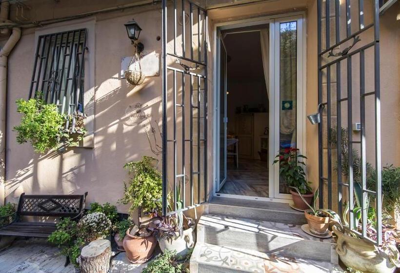 スタンダードルーム, Zabbara