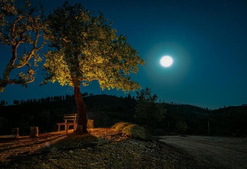 스탠다드 테라스 룸, Monte Corgo Da Vaca