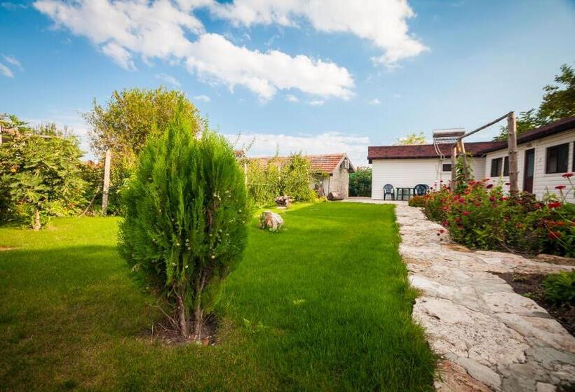 패밀리 방갈로, Kosta Bungalows