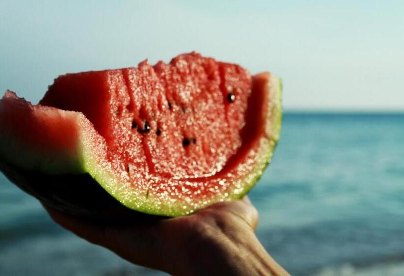 패밀리 방갈로, Kosta Bungalows