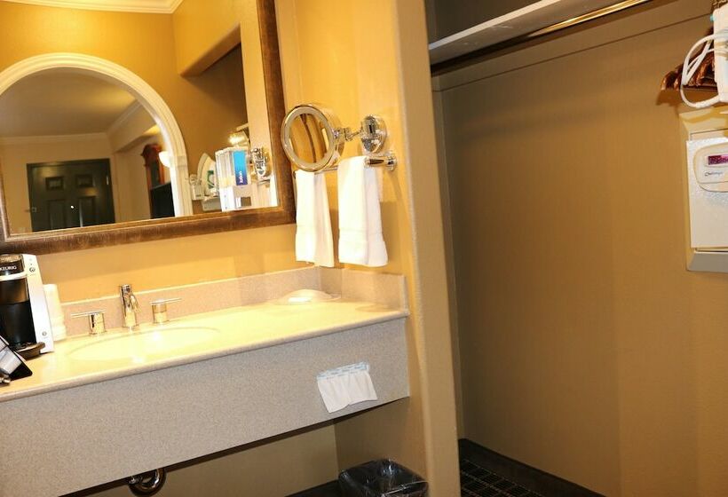 חדר סטנדרט שתי מיטות זוגיות, Alexis Park