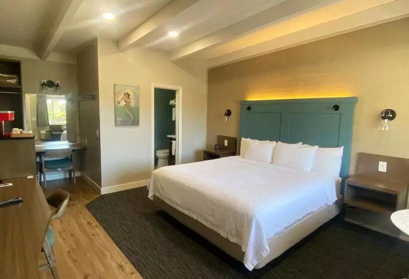 Standard-huone King-vuode, Castle Inn