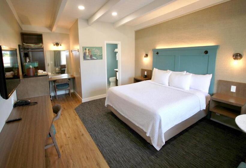 스탠다드 룸 킹사이즈 침대, Castle Inn