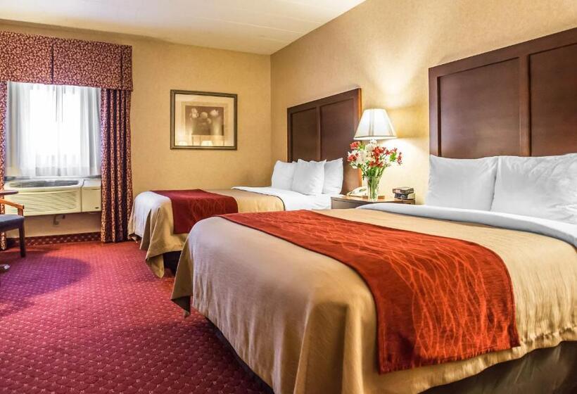 Номер Стандарт 2 Двуспальные Кровати, Comfort Inn Pocono Lakes Region