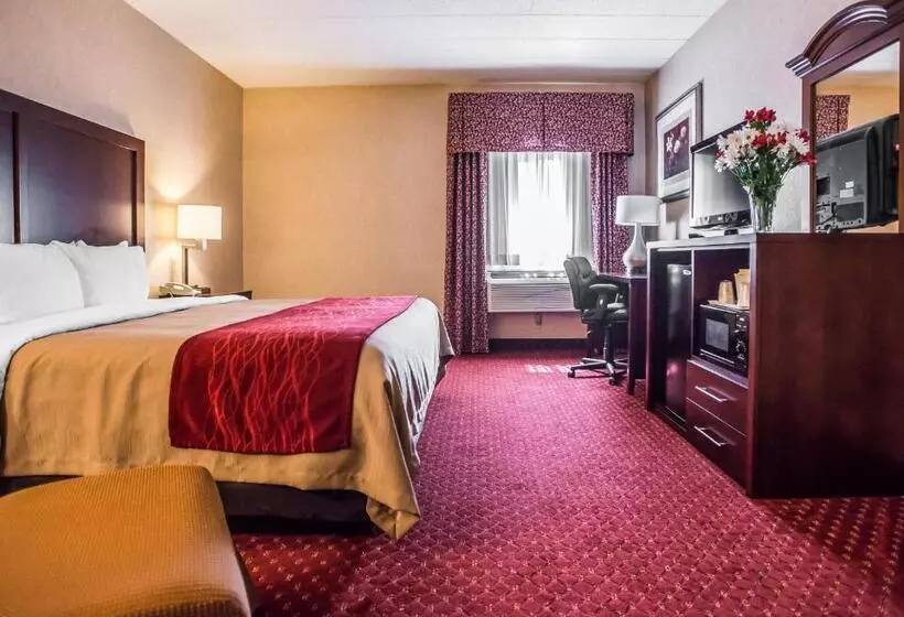 キングサイズベッドのスタンダードルーム, Comfort Inn Pocono Lakes Region