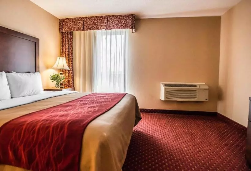 キングサイズベッドのスタンダードルーム, Comfort Inn Pocono Lakes Region