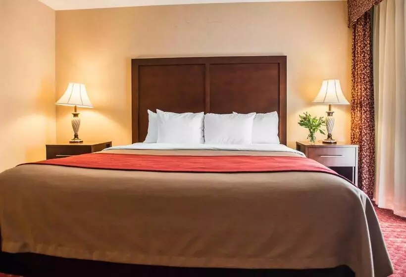 キングサイズベッドのスタンダードルーム, Comfort Inn Pocono Lakes Region