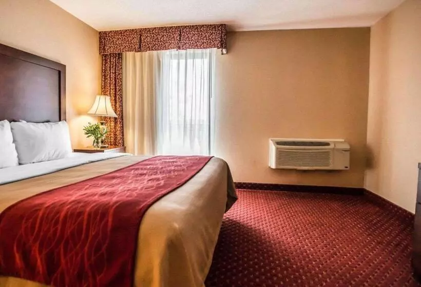キングサイズベッドのスイートルーム, Comfort Inn Pocono Lakes Region
