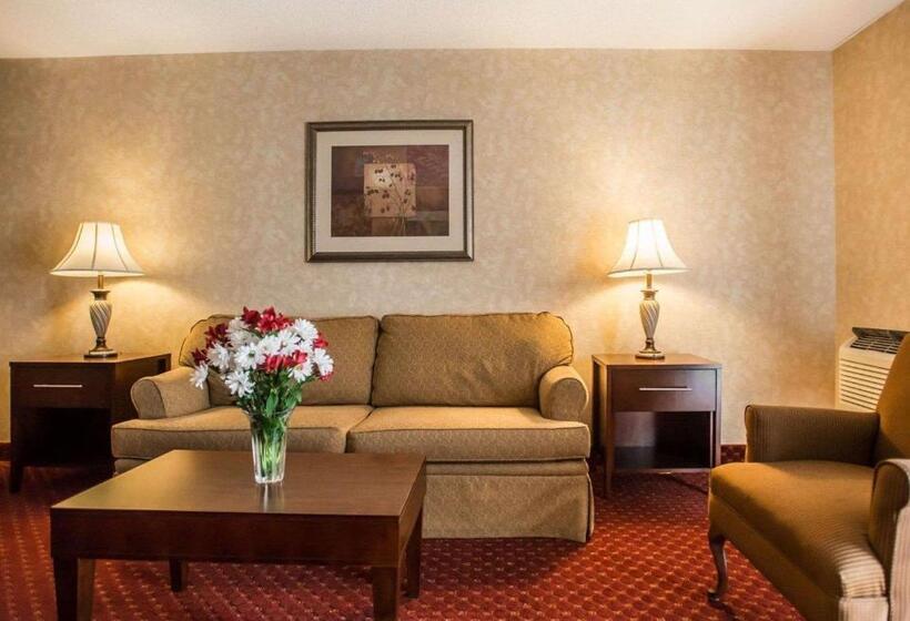 带大床的套房, Comfort Inn Pocono Lakes Region