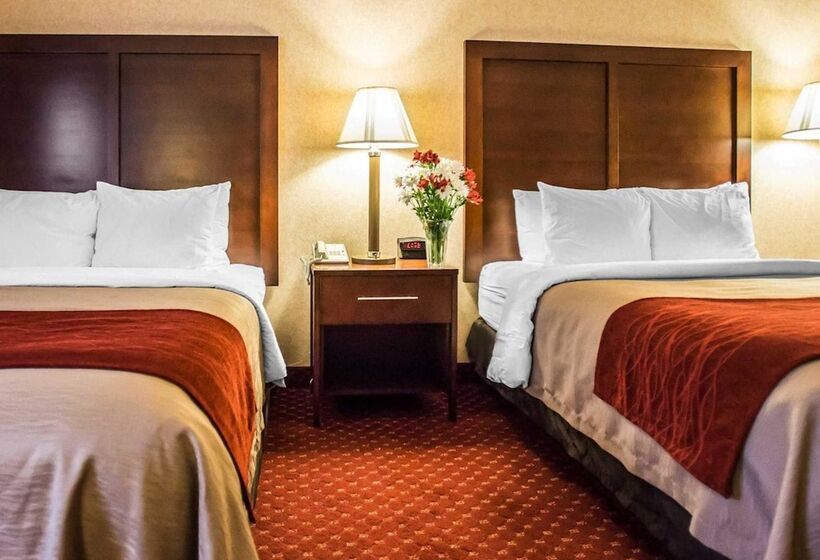 带2个双人床的标准工作室, Comfort Inn Pocono Lakes Region