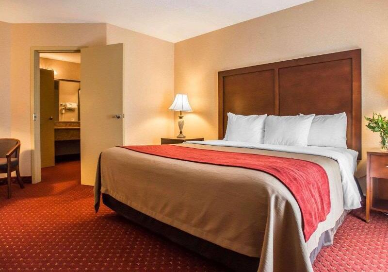 带大床的套房, Comfort Inn Pocono Lakes Region