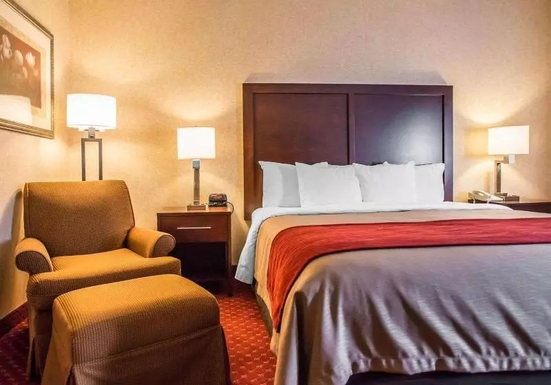 キングサイズベッドのスタンダードルーム, Comfort Inn Pocono Lakes Region