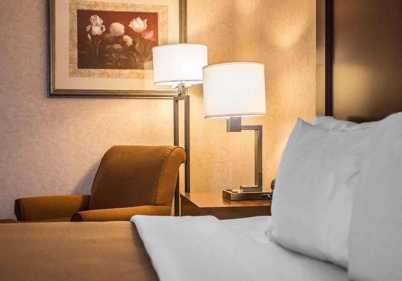 带大床的标准间, Comfort Inn Pocono Lakes Region