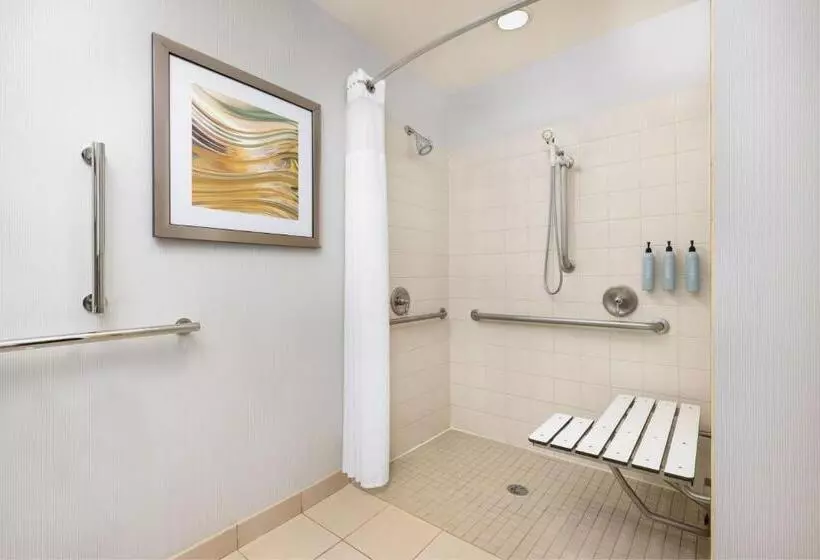 身障者適用キングサイズベッドルーム, Courtyard By Marriott Potomac Mills Woodbridge