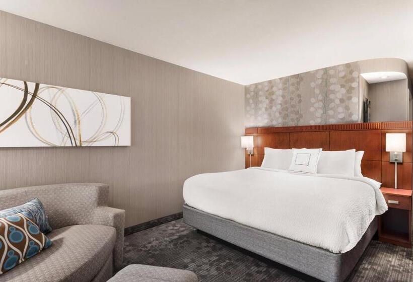 غرفة قياسية سرير كينج لذوى الإحتياجات الخاصة, Courtyard By Marriott Potomac Mills Woodbridge