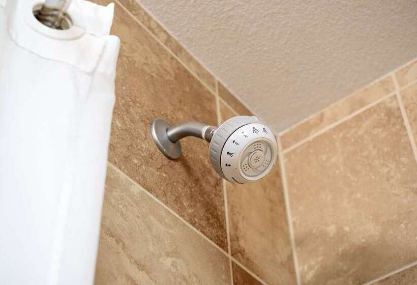 اتاق استاندارد, Doubletree By Hilton Lubbock  University Area