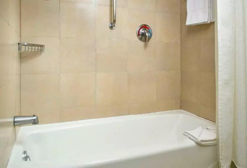 ２ダブルベッドのスタンダードルーム, Fairfield By Marriott Los Cabos