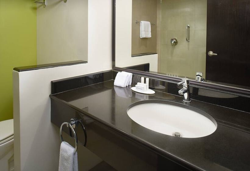 Номер Стандарт 2 Двуспальные Кровати, Fairfield By Marriott Los Cabos