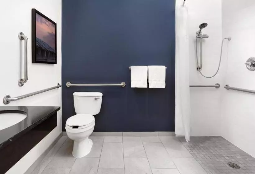 身障者適用キングサイズベッドルーム, Fairfield Inn & Suites By Marriott Jacksonville